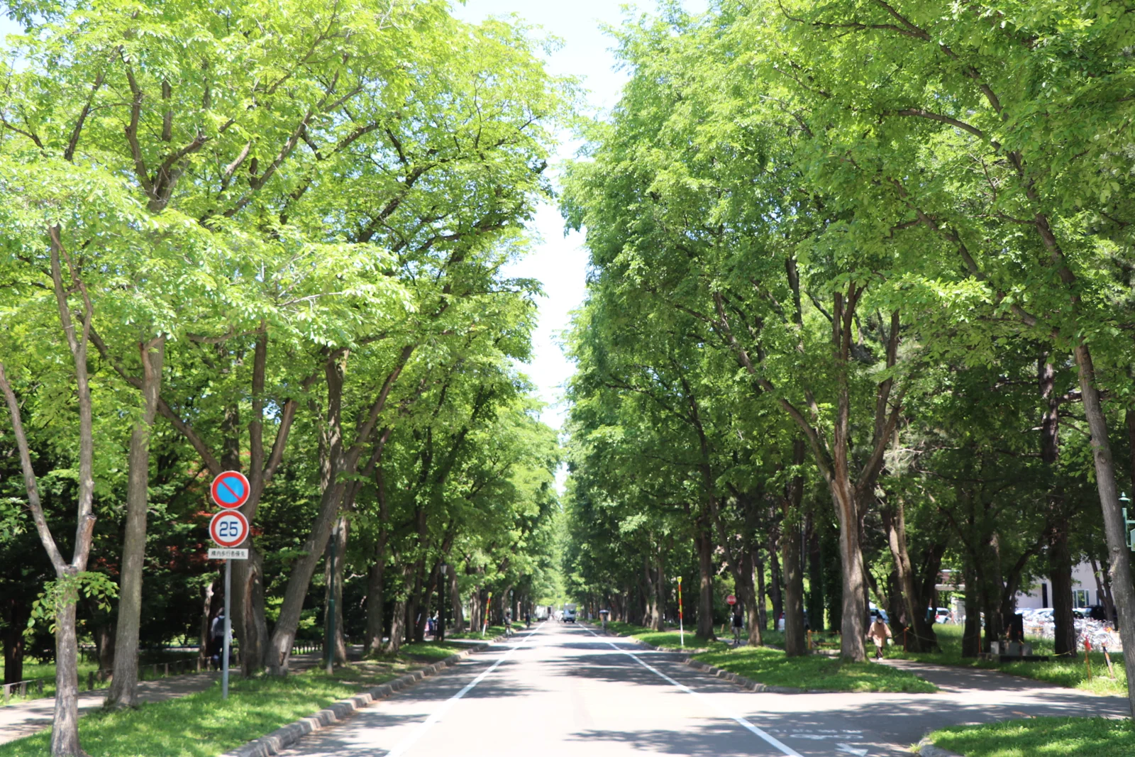 北海道大学のキャンパス